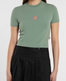 Dickies: Kvalitet i Komfor za Svaki Dan